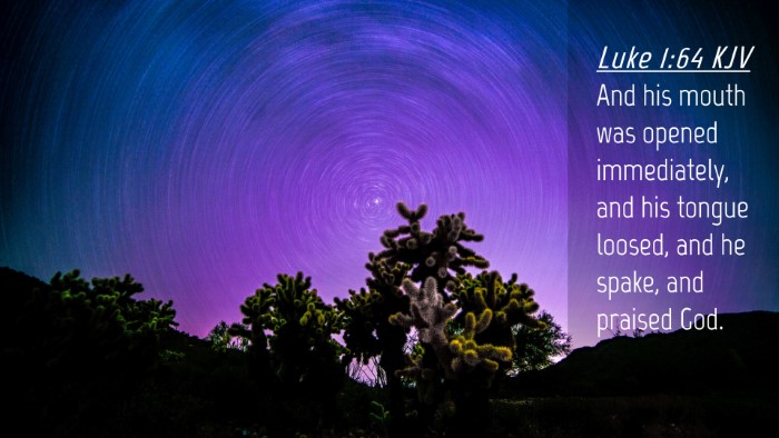 Picture 04 - Luke 1:64 KJV Desktop Wallpaper - And his mouth was opened immediately, and his - Desktop Bible Verse Wallpaper