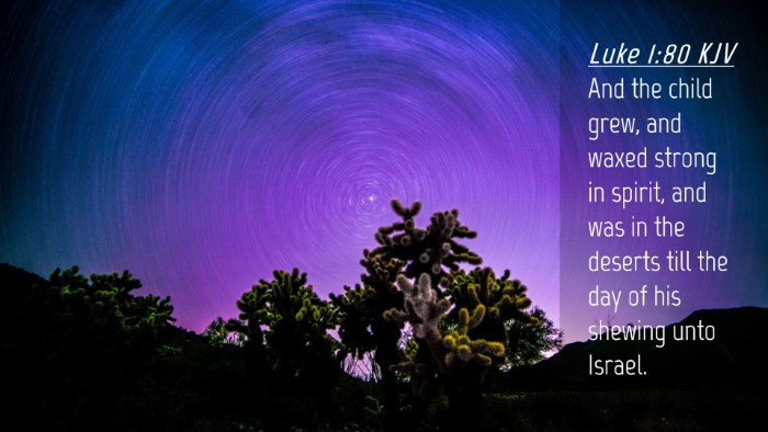 Picture 04 - Luke 1:80 KJV Desktop Wallpaper - And the child grew, and waxed strong in spirit, - Desktop Bible Verse Wallpaper