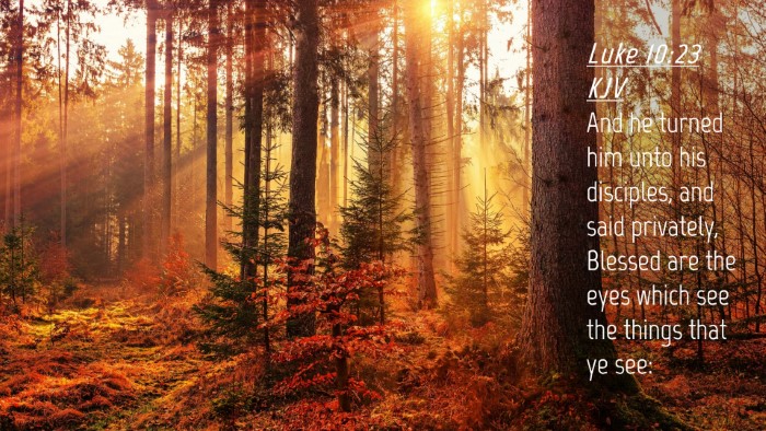 Picture 04 - Luke 10:23 KJV Desktop Wallpaper - And he turned him unto his disciples, and said - Desktop Bible Verse Wallpaper