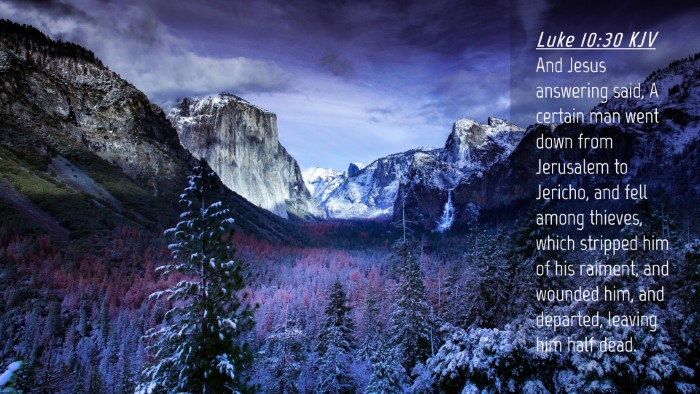 Picture 04 - Luke 10:30 KJV Desktop Wallpaper - And Jesus answering said, A certain man went down - Desktop Bible Verse Wallpaper