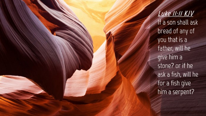 Picture 04 - Luke 11:11 KJV Desktop Wallpaper - If a son shall ask bread of any of you that is a - Desktop Bible Verse Wallpaper