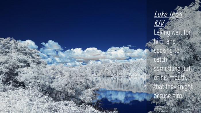 Picture 04 - Luke 11:54 KJV Desktop Wallpaper - Laying wait for him, and seeking to catch - Desktop Bible Verse Wallpaper