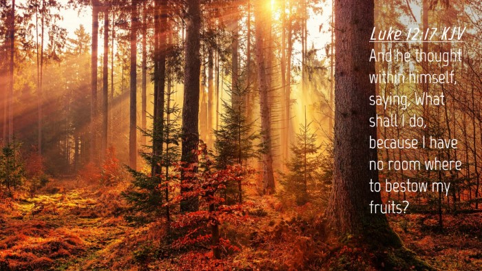 Picture 04 - Luke 12:17 KJV Desktop Wallpaper - And he thought within himself, saying, What shall - Desktop Bible Verse Wallpaper