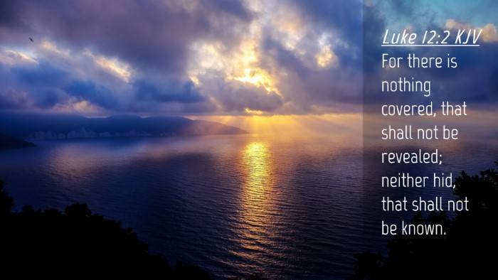 Picture 04 - Luke 12:2 KJV Desktop Wallpaper - For there is nothing covered, that shall not be - Desktop Bible Verse Wallpaper