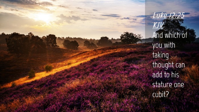 Picture 04 - Luke 12:25 KJV Desktop Wallpaper - And which of you with taking thought can add to - Desktop Bible Verse Wallpaper