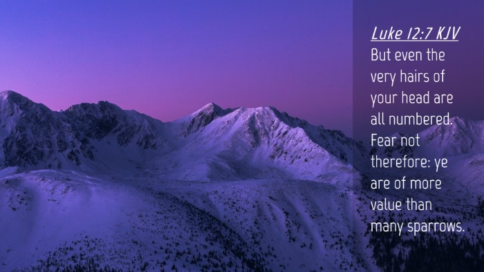 Picture 04 - Luke 12:7 KJV Desktop Wallpaper - But even the very hairs of your head are all - Desktop Bible Verse Wallpaper