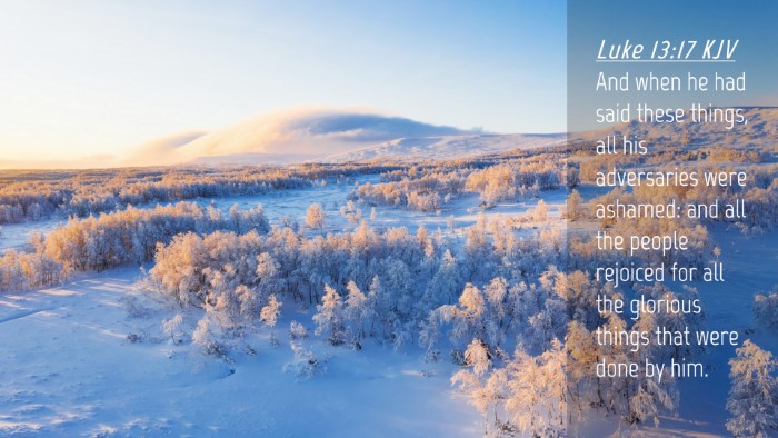 Picture 04 - Luke 13:17 KJV Desktop Wallpaper - And when he had said these things, all his - Desktop Bible Verse Wallpaper