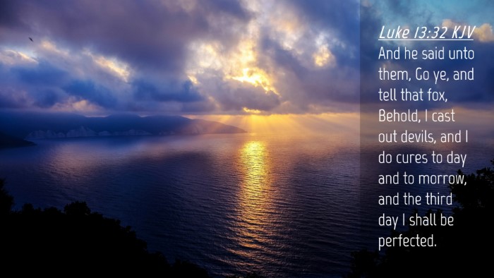 Picture 04 - Luke 13:32 KJV Desktop Wallpaper - And he said unto them, Go ye, and tell that fox, - Desktop Bible Verse Wallpaper