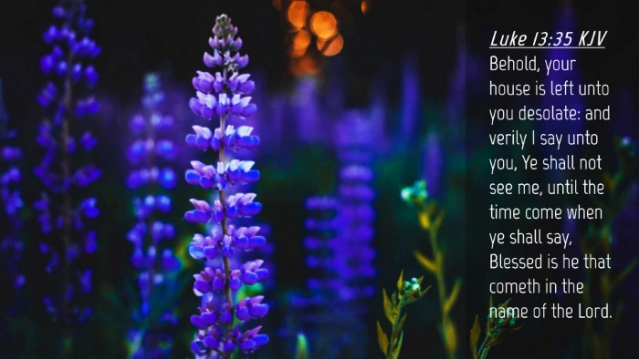Picture 04 - Luke 13:35 KJV Desktop Wallpaper - Behold, your house is left unto you desolate: and - Desktop Bible Verse Wallpaper