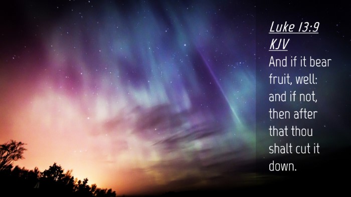 Picture 04 - Luke 13:9 KJV Desktop Wallpaper - And if it bear fruit, well: and if not, then - Desktop Bible Verse Wallpaper