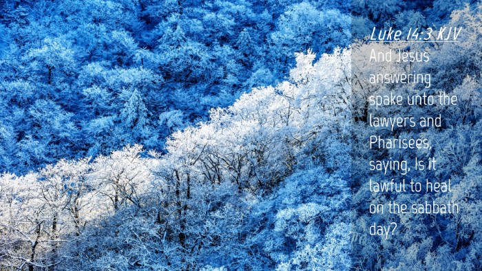 Picture 04 - Luke 14:3 KJV Desktop Wallpaper - And Jesus answering spake unto the lawyers and - Desktop Bible Verse Wallpaper
