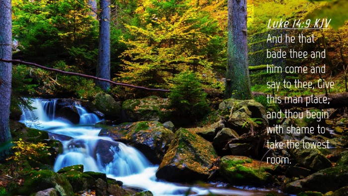 Picture 04 - Luke 14:9 KJV Desktop Wallpaper - And he that bade thee and him come and say to - Desktop Bible Verse Wallpaper