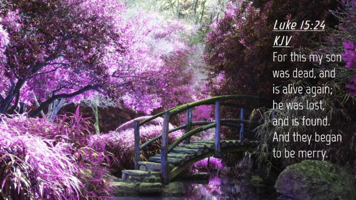 Picture 04 - Luke 15:24 KJV Desktop Wallpaper - For this my son was dead, and is alive again; he - Desktop Bible Verse Wallpaper