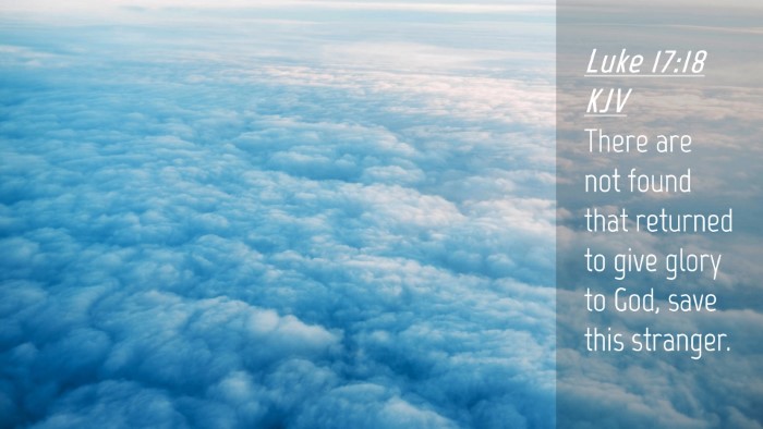 Picture 04 - Luke 17:18 KJV Desktop Wallpaper - There are not found that returned to give glory - Desktop Bible Verse Wallpaper