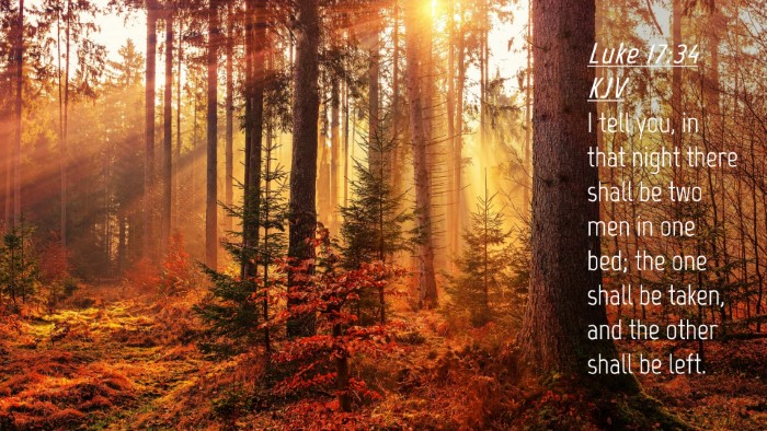 Picture 04 - Luke 17:34 KJV Desktop Wallpaper - I tell you, in that night there shall be two men - Desktop Bible Verse Wallpaper