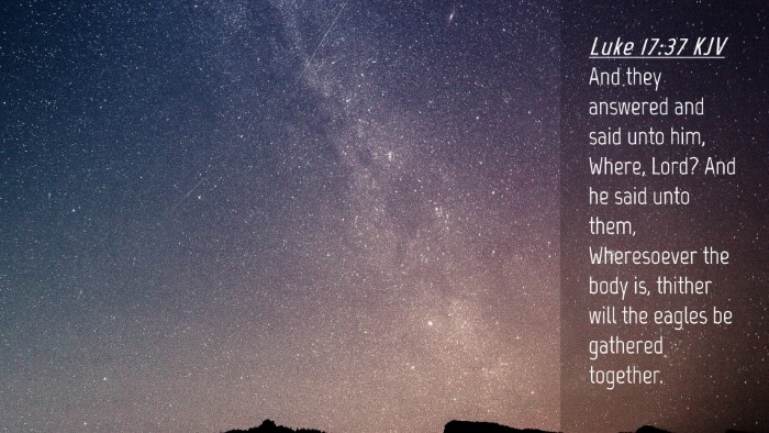 Picture 04 - Luke 17:37 KJV Desktop Wallpaper - And they answered and said unto him, Where, Lord? - Desktop Bible Verse Wallpaper