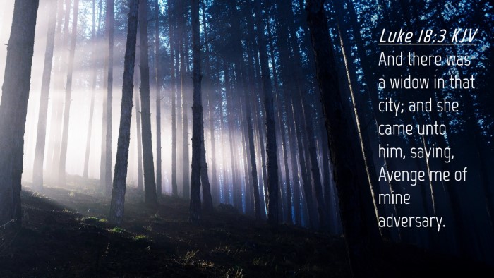 Picture 04 - Luke 18:3 KJV Desktop Wallpaper - And there was a widow in that city; and she came - Desktop Bible Verse Wallpaper