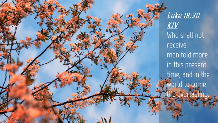 Picture 04 - Luke 18:30 KJV Desktop Wallpaper - Who shall not receive manifold more in this - Desktop Bible Verse Wallpaper
