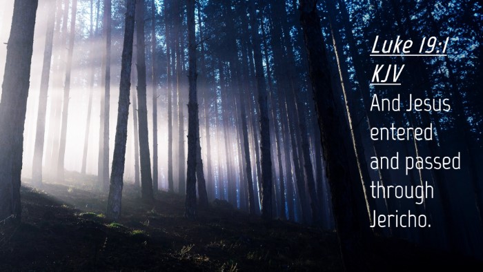 Picture 04 - Luke 19:1 KJV Desktop Wallpaper - And Jesus entered and passed through - Desktop Bible Verse Wallpaper