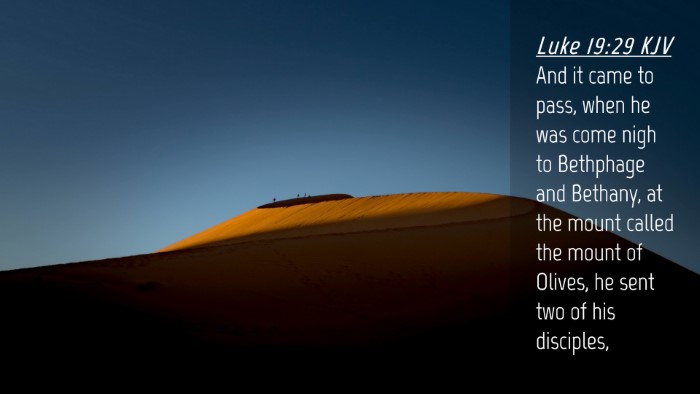 Picture 04 - Luke 19:29 KJV Desktop Wallpaper - And it came to pass, when he was come nigh to - Desktop Bible Verse Wallpaper