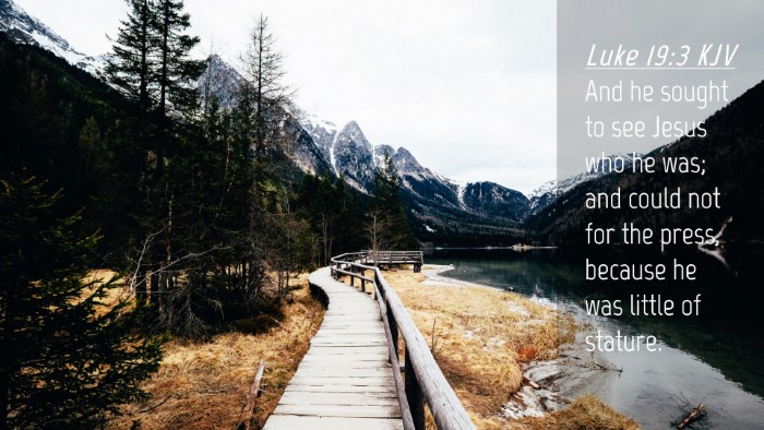 Picture 04 - Luke 19:3 KJV Desktop Wallpaper - And he sought to see Jesus who he was; and could - Desktop Bible Verse Wallpaper