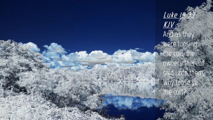 Picture 04 - Luke 19:33 KJV Desktop Wallpaper - And as they were loosing the colt, the owners - Desktop Bible Verse Wallpaper