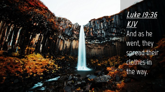 Picture 04 - Luke 19:36 KJV Desktop Wallpaper - And as he went, they spread their clothes in the - Desktop Bible Verse Wallpaper