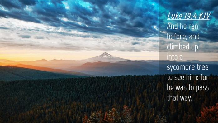 Picture 04 - Luke 19:4 KJV Desktop Wallpaper - And he ran before, and climbed up into a sycomore - Desktop Bible Verse Wallpaper