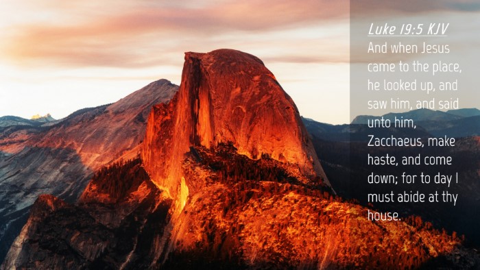 Picture 04 - Luke 19:5 KJV Desktop Wallpaper - And when Jesus came to the place, he looked up, - Desktop Bible Verse Wallpaper