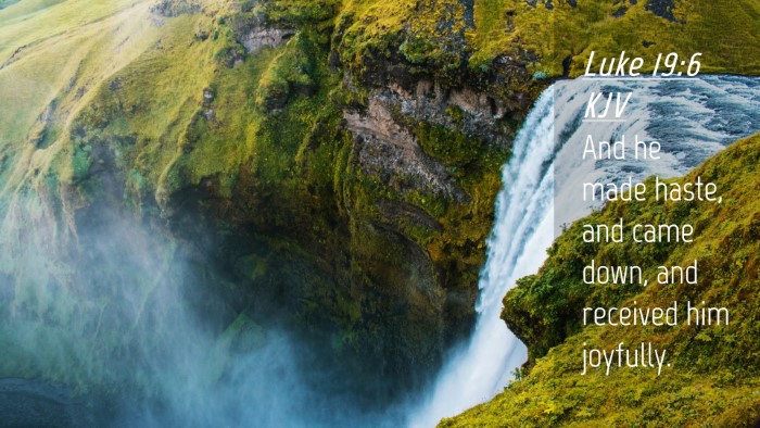 Picture 04 - Luke 19:6 KJV Desktop Wallpaper - And he made haste, and came down, and received - Desktop Bible Verse Wallpaper