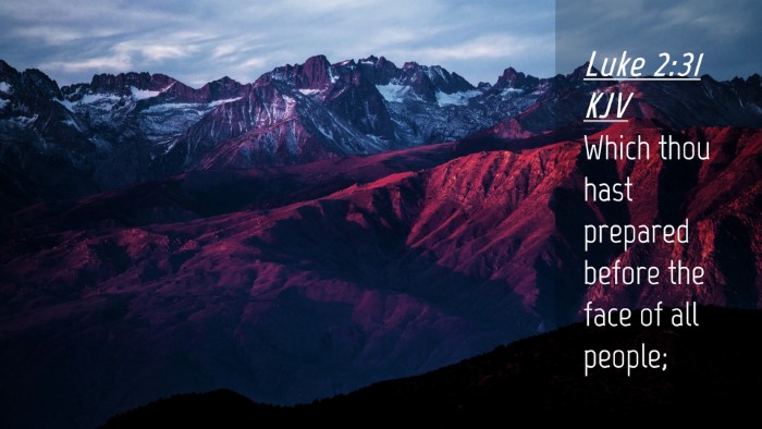 Picture 04 - Luke 2:31 KJV Desktop Wallpaper - Which thou hast prepared before the face of all - Desktop Bible Verse Wallpaper