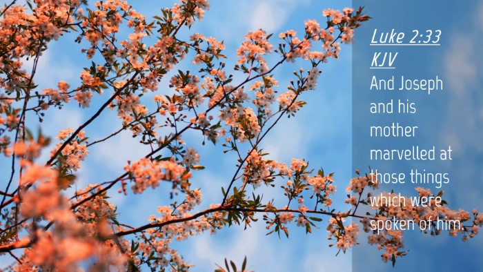 Picture 04 - Luke 2:33 KJV Desktop Wallpaper - And Joseph and his mother marvelled at those - Desktop Bible Verse Wallpaper