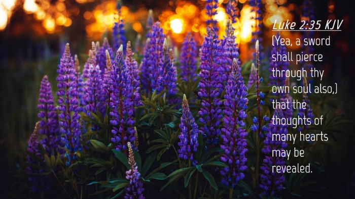 Picture 04 - Luke 2:35 KJV Desktop Wallpaper - (Yea, a sword shall pierce through thy own soul - Desktop Bible Verse Wallpaper