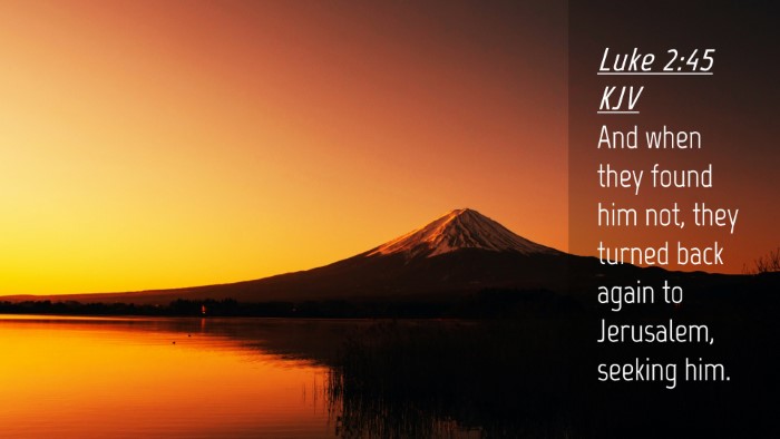 Picture 04 - Luke 2:45 KJV Desktop Wallpaper - And when they found him not, they turned back - Desktop Bible Verse Wallpaper