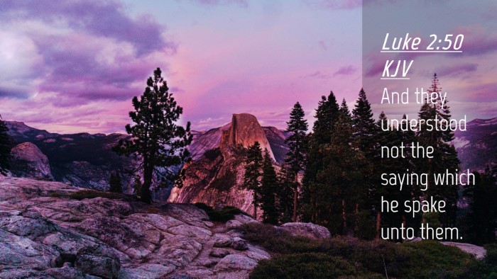 Picture 04 - Luke 2:50 KJV Desktop Wallpaper - And they understood not the saying which he spake - Desktop Bible Verse Wallpaper