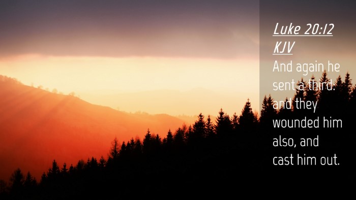 Picture 04 - Luke 20:12 KJV Desktop Wallpaper - And again he sent a third: and they wounded him - Desktop Bible Verse Wallpaper