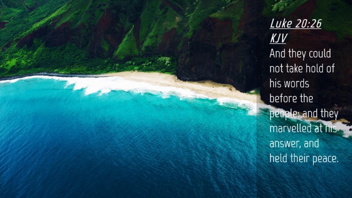 Picture 04 - Luke 20:26 KJV Desktop Wallpaper - And they could not take hold of his words before - Desktop Bible Verse Wallpaper