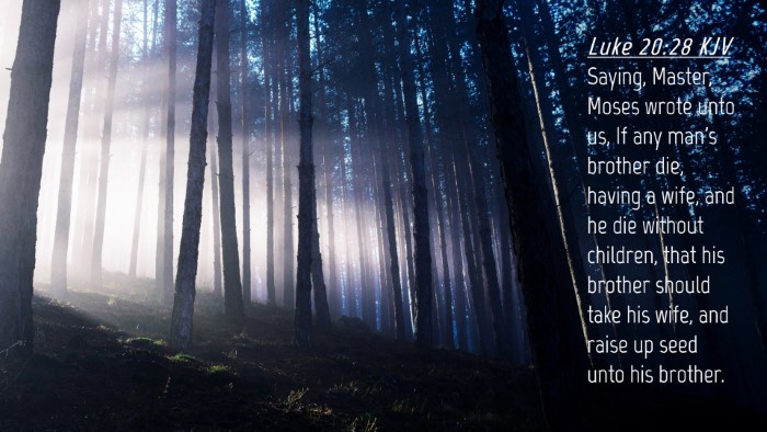 Picture 04 - Luke 20:28 KJV Desktop Wallpaper - Saying, Master, Moses wrote unto us, If any man's - Desktop Bible Verse Wallpaper