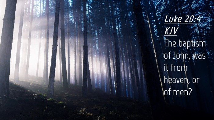 Picture 04 - Luke 20:4 KJV Desktop Wallpaper - The baptism of John, was it from heaven, or of - Desktop Bible Verse Wallpaper