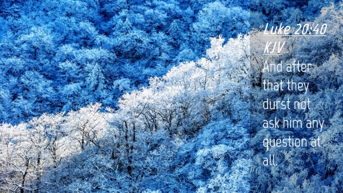 Picture 04 - Luke 20:40 KJV Desktop Wallpaper - And after that they durst not ask him any - Desktop Bible Verse Wallpaper