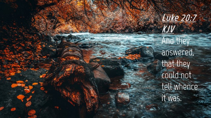Picture 04 - Luke 20:7 KJV Desktop Wallpaper - And they answered, that they could not tell - Desktop Bible Verse Wallpaper