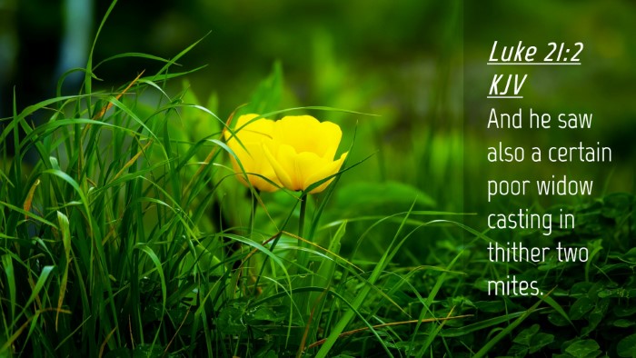 Picture 04 - Luke 21:2 KJV Desktop Wallpaper - And he saw also a certain poor widow casting in - Desktop Bible Verse Wallpaper