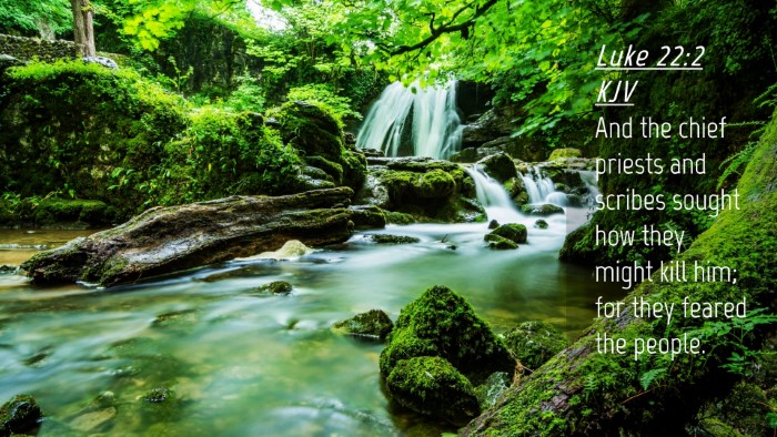 Picture 04 - Luke 22:2 KJV Desktop Wallpaper - And the chief priests and scribes sought how they - Desktop Bible Verse Wallpaper