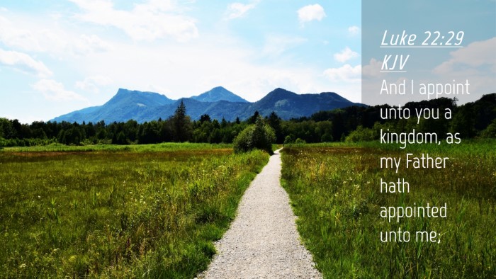 Picture 04 - Luke 22:29 KJV Desktop Wallpaper - And I appoint unto you a kingdom, as my Father - Desktop Bible Verse Wallpaper