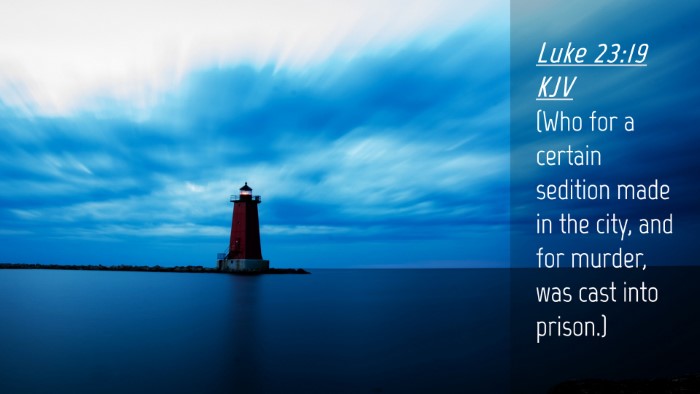 Picture 04 - Luke 23:19 KJV Desktop Wallpaper - (Who for a certain sedition made in the city, and - Desktop Bible Verse Wallpaper