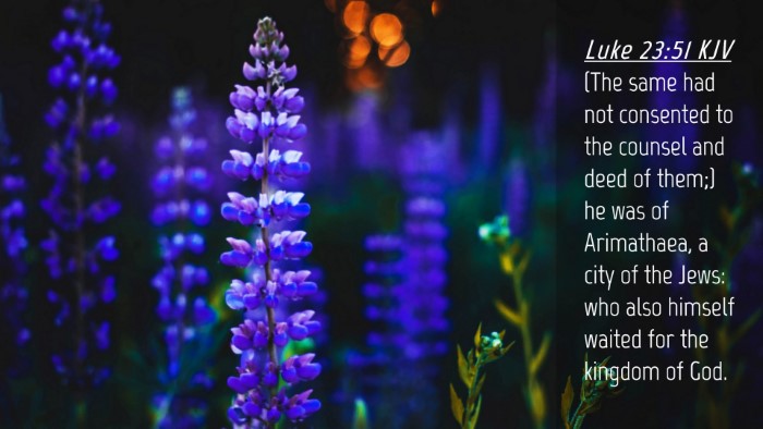 Picture 04 - Luke 23:51 KJV Desktop Wallpaper - (The same had not consented to the counsel and - Desktop Bible Verse Wallpaper