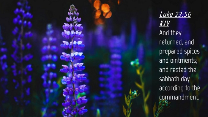 Picture 04 - Luke 23:56 KJV Desktop Wallpaper - And they returned, and prepared spices and - Desktop Bible Verse Wallpaper