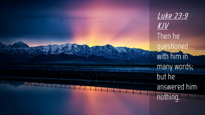 Picture 04 - Luke 23:9 KJV Desktop Wallpaper - Then he questioned with him in many words; but he - Desktop Bible Verse Wallpaper