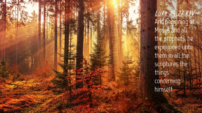 Picture 04 - Luke 24:27 KJV Desktop Wallpaper - And beginning at Moses and all the prophets, he - Desktop Bible Verse Wallpaper