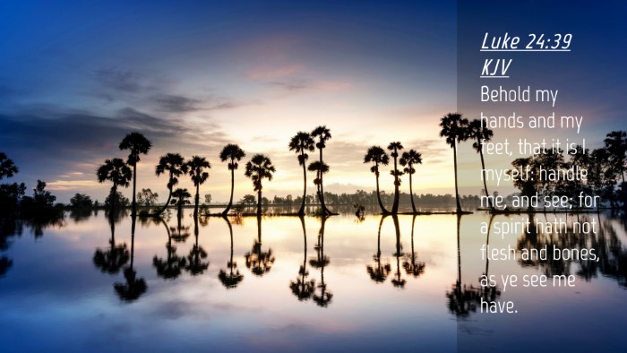 Picture 04 - Luke 24:39 KJV Desktop Wallpaper - Behold my hands and my feet, that it is I myself: - Desktop Bible Verse Wallpaper